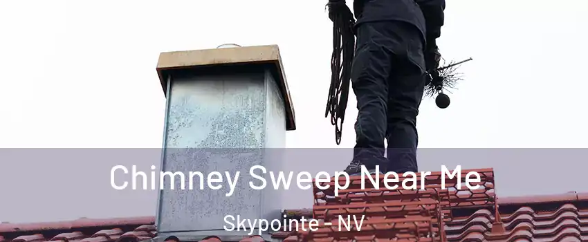 Chimney Sweep Near Me Skypointe - NV