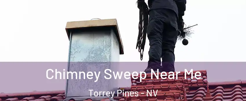 Chimney Sweep Near Me Torrey Pines - NV