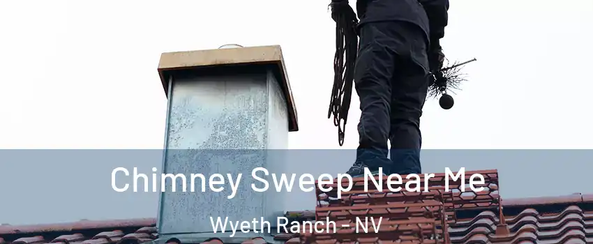 Chimney Sweep Near Me Wyeth Ranch - NV