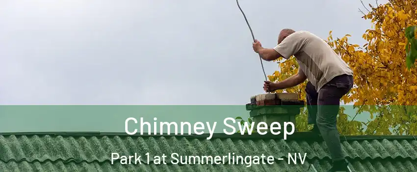Chimney Sweep Park 1 at Summerlingate - NV