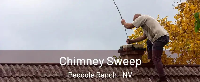 Chimney Sweep Peccole Ranch - NV
