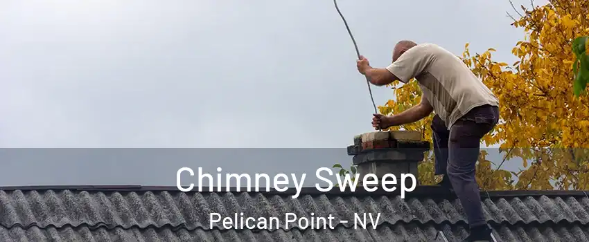 Chimney Sweep Pelican Point - NV