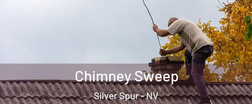 Chimney Sweep Silver Spur - NV
