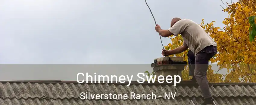 Chimney Sweep Silverstone Ranch - NV