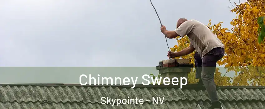 Chimney Sweep Skypointe - NV