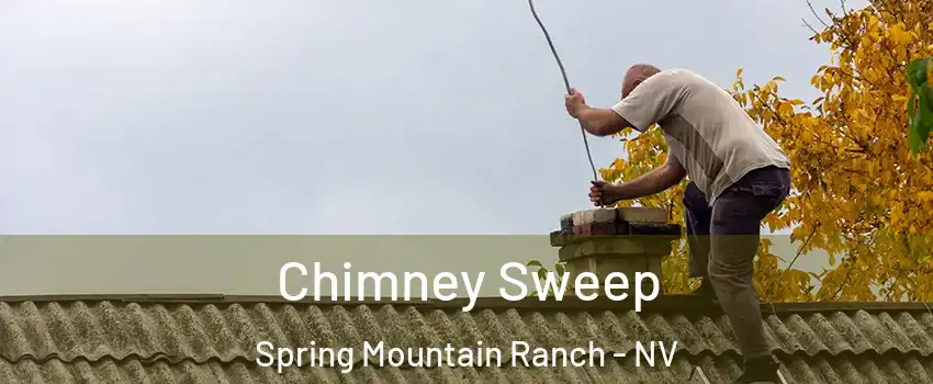Chimney Sweep Spring Mountain Ranch - NV