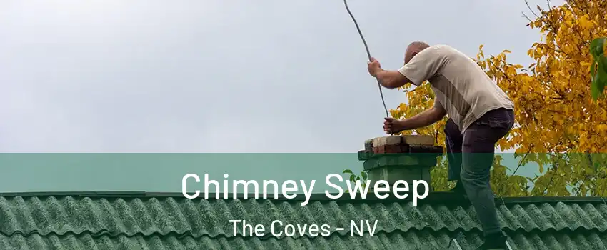 Chimney Sweep The Coves - NV