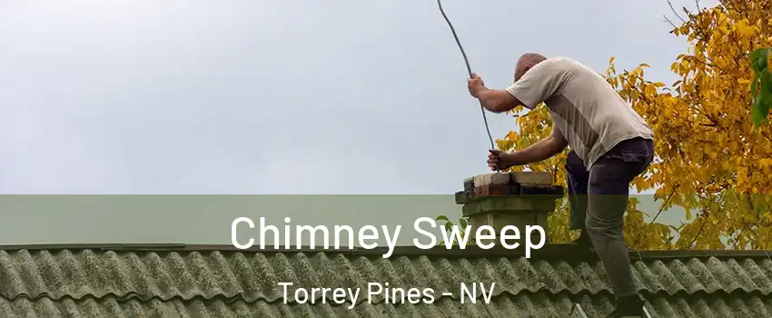 Chimney Sweep Torrey Pines - NV
