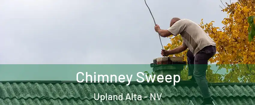 Chimney Sweep Upland Alta - NV