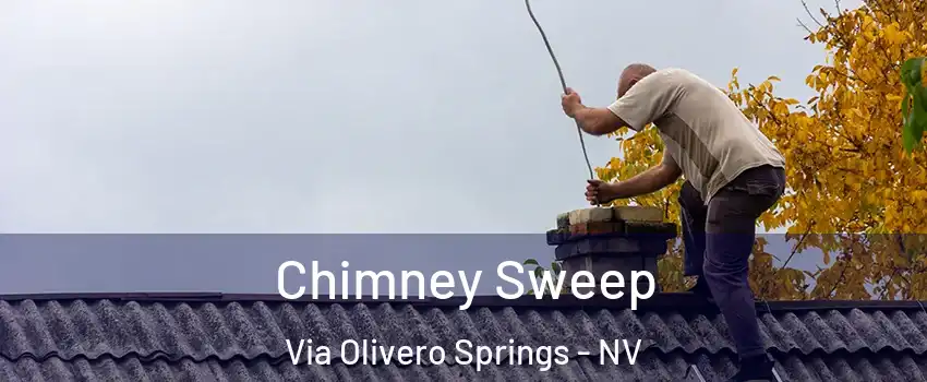 Chimney Sweep Via Olivero Springs - NV