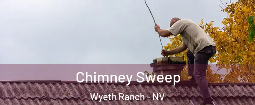 Chimney Sweep Wyeth Ranch - NV