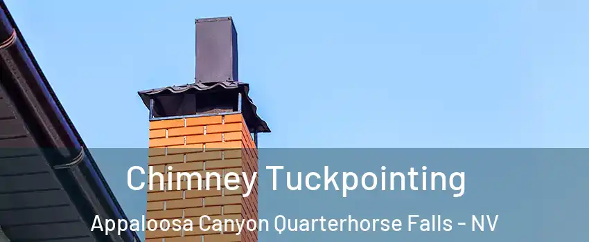 Chimney Tuckpointing Appaloosa Canyon Quarterhorse Falls - NV