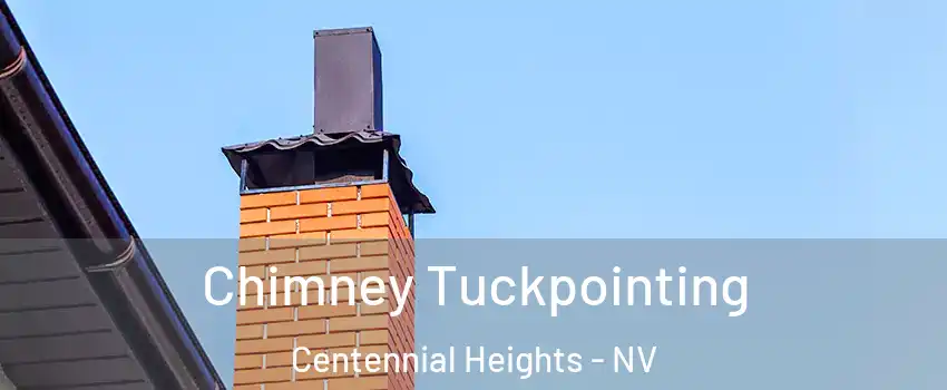 Chimney Tuckpointing Centennial Heights - NV