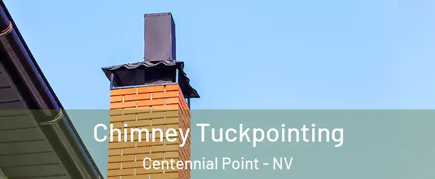 Chimney Tuckpointing Centennial Point - NV