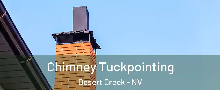 Chimney Tuckpointing Desert Creek - NV