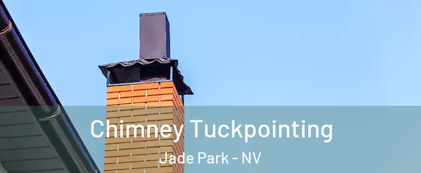Chimney Tuckpointing Jade Park - NV