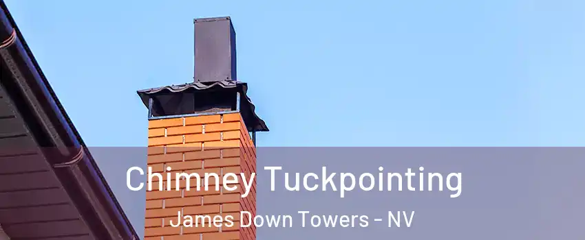 Chimney Tuckpointing James Down Towers - NV