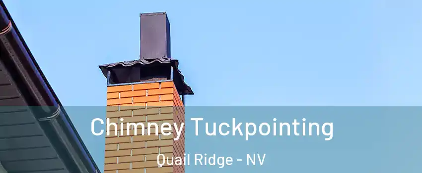 Chimney Tuckpointing Quail Ridge - NV