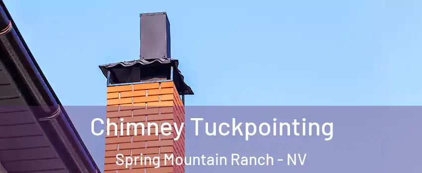 Chimney Tuckpointing Spring Mountain Ranch - NV