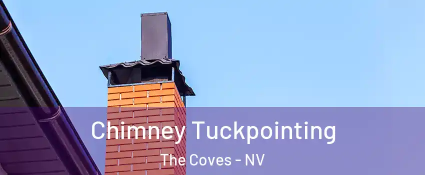 Chimney Tuckpointing The Coves - NV