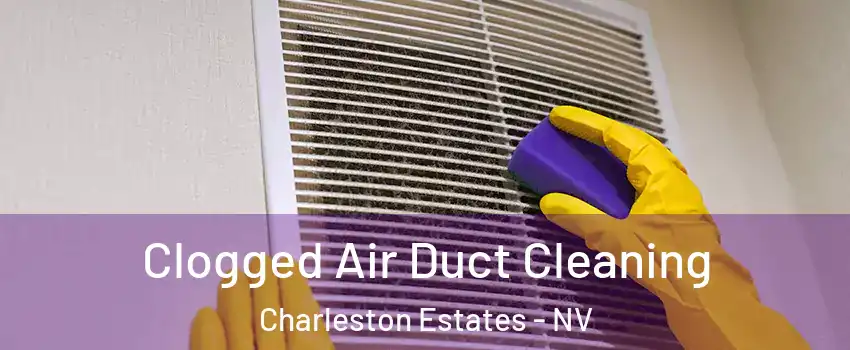 Clogged Air Duct Cleaning Charleston Estates - NV