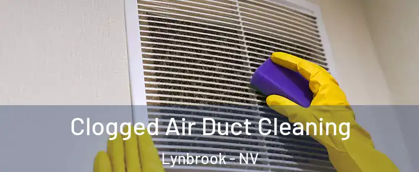 Clogged Air Duct Cleaning Lynbrook - NV