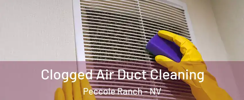 Clogged Air Duct Cleaning Peccole Ranch - NV
