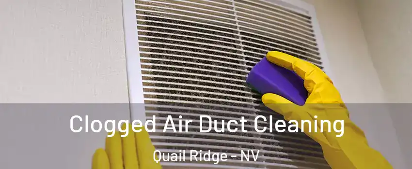 Clogged Air Duct Cleaning Quail Ridge - NV