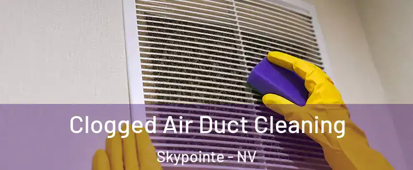 Clogged Air Duct Cleaning Skypointe - NV