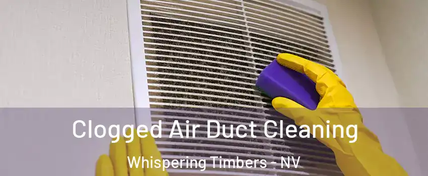 Clogged Air Duct Cleaning Whispering Timbers - NV