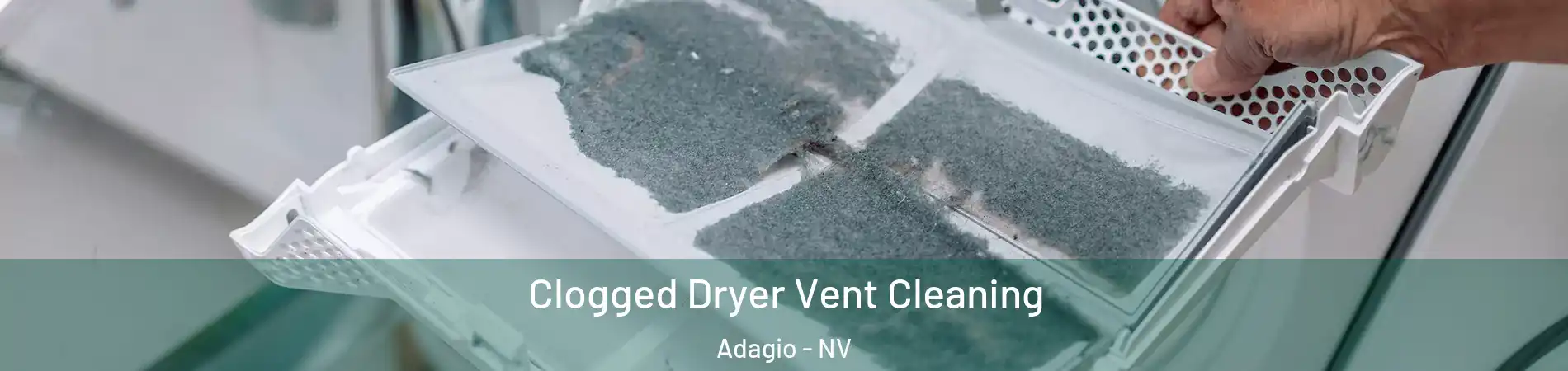 Clogged Dryer Vent Cleaning Adagio - NV