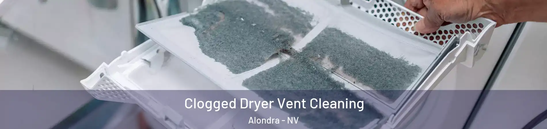 Clogged Dryer Vent Cleaning Alondra - NV