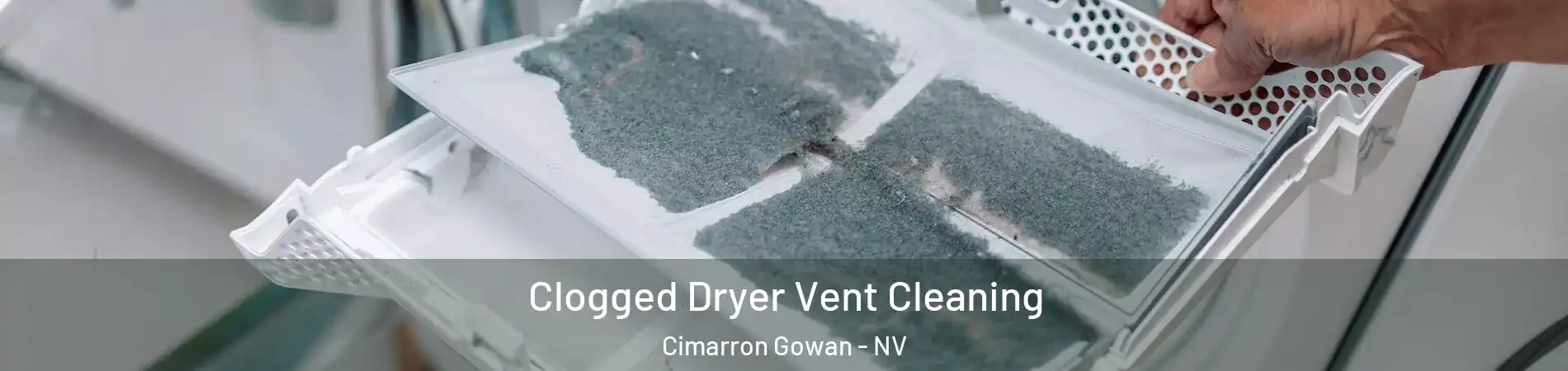 Clogged Dryer Vent Cleaning Cimarron Gowan - NV