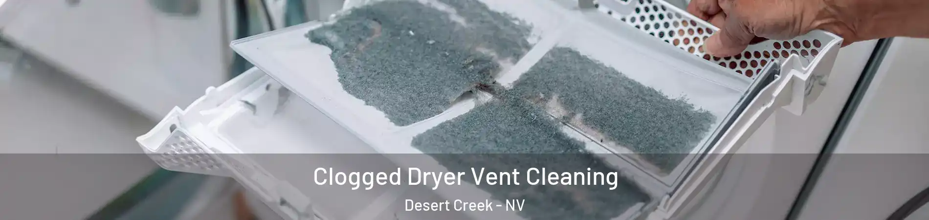Clogged Dryer Vent Cleaning Desert Creek - NV