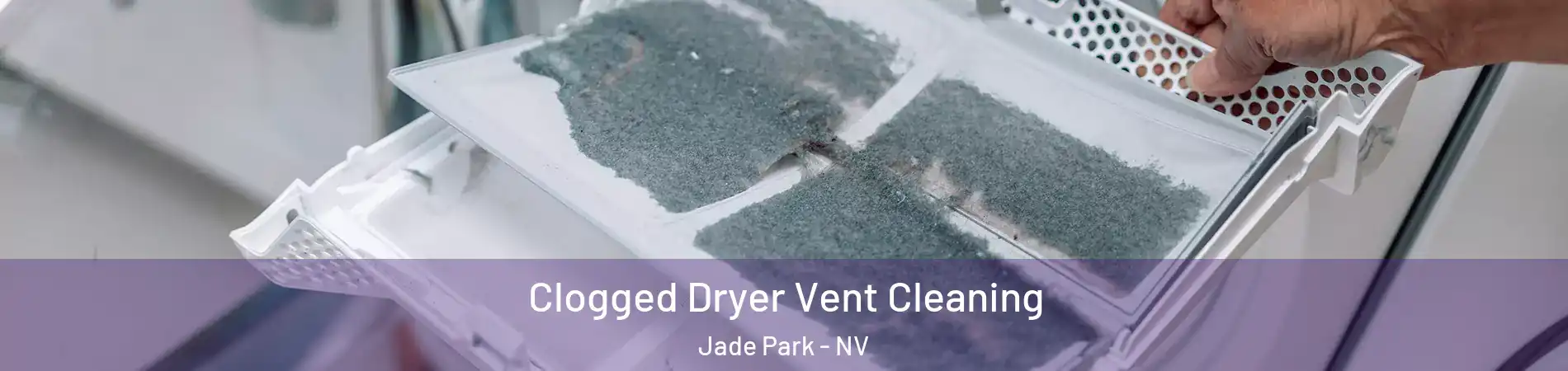 Clogged Dryer Vent Cleaning Jade Park - NV