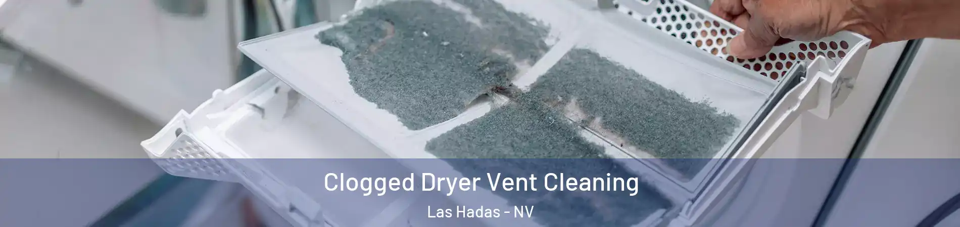 Clogged Dryer Vent Cleaning Las Hadas - NV