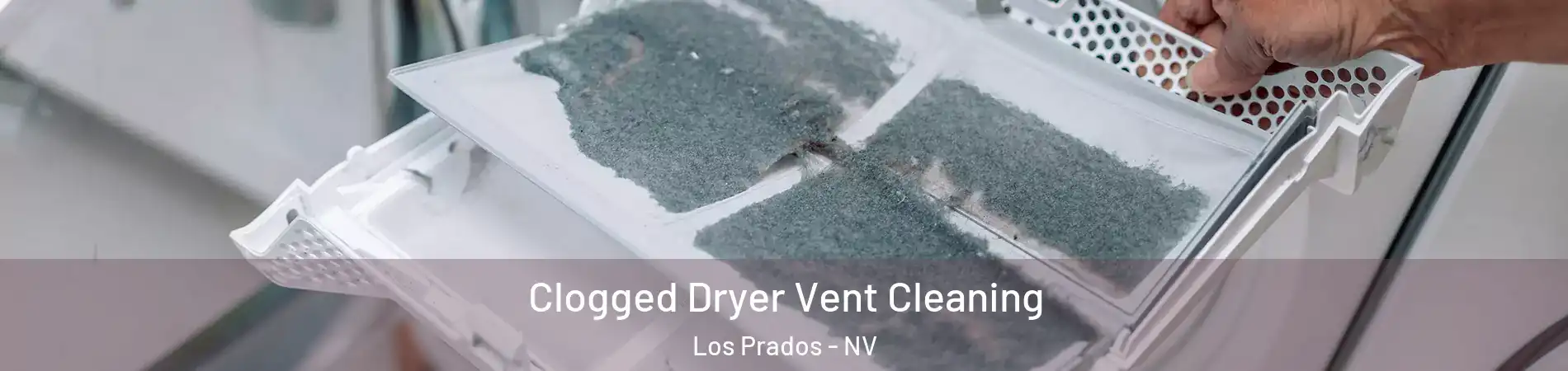 Clogged Dryer Vent Cleaning Los Prados - NV