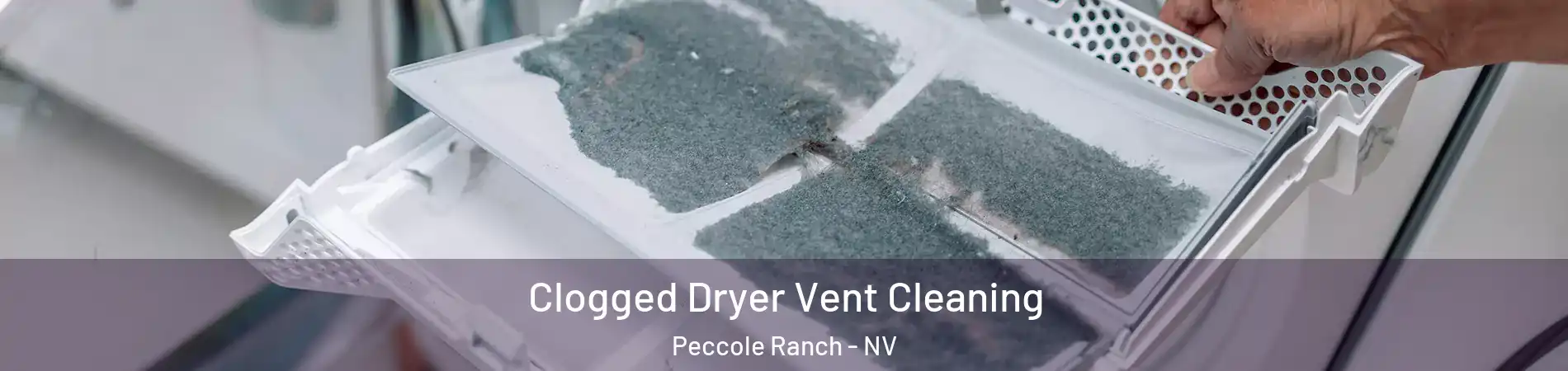 Clogged Dryer Vent Cleaning Peccole Ranch - NV