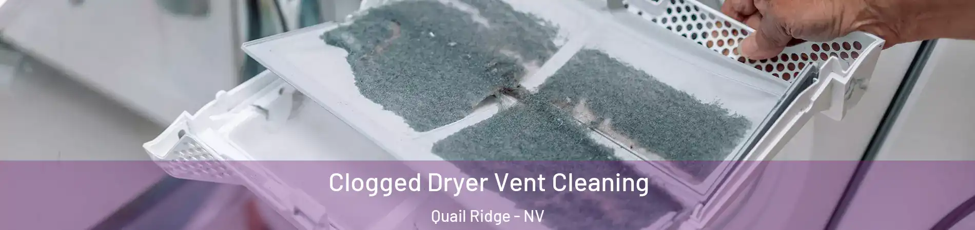 Clogged Dryer Vent Cleaning Quail Ridge - NV