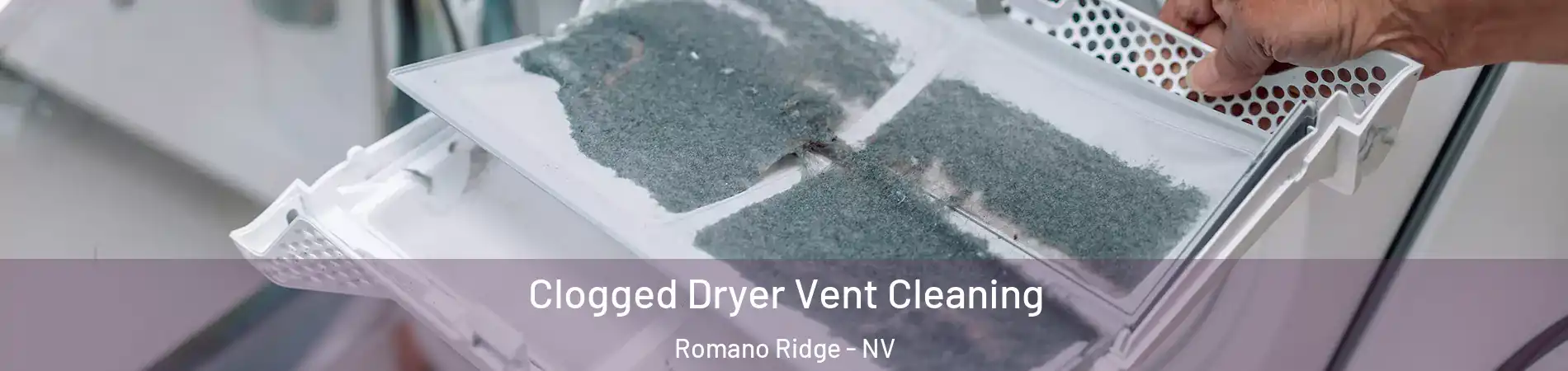 Clogged Dryer Vent Cleaning Romano Ridge - NV