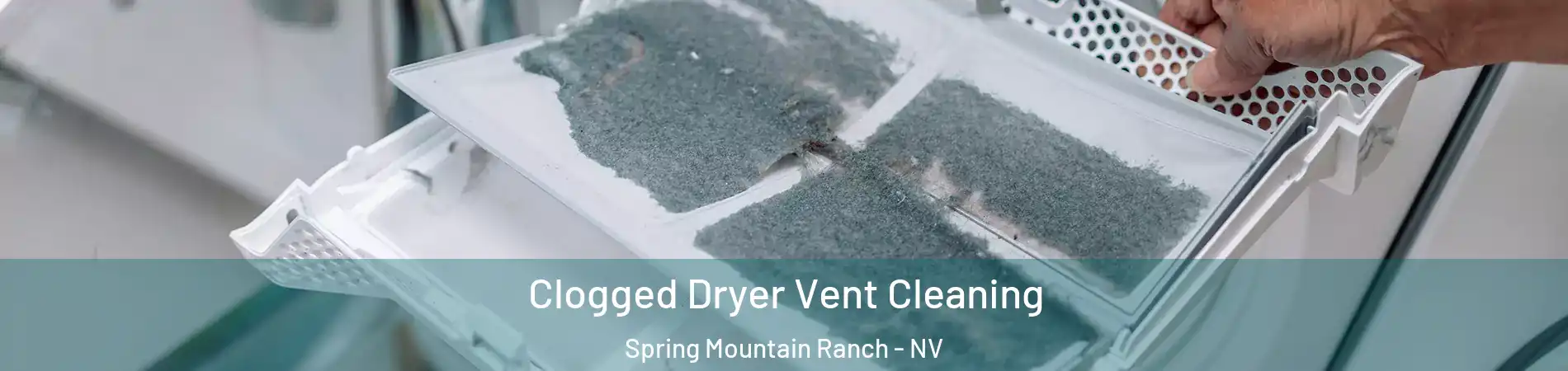 Clogged Dryer Vent Cleaning Spring Mountain Ranch - NV