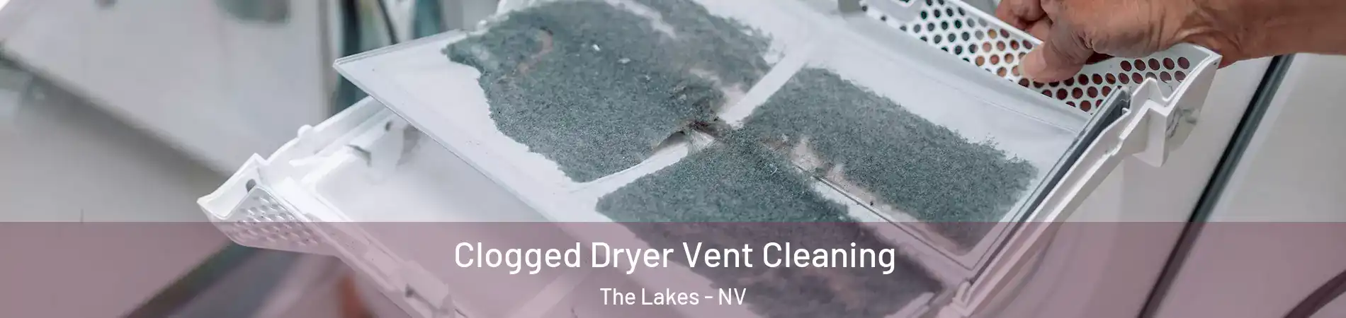 Clogged Dryer Vent Cleaning The Lakes - NV