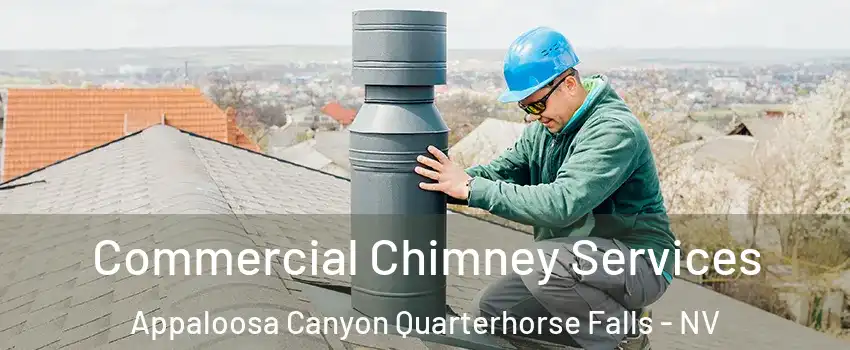 Commercial Chimney Services Appaloosa Canyon Quarterhorse Falls - NV