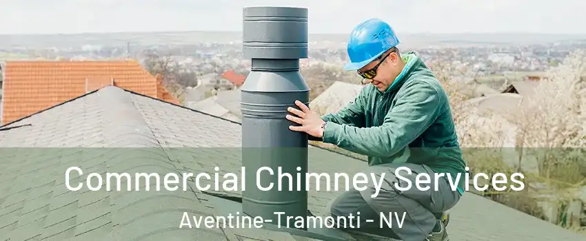 Commercial Chimney Services Aventine-Tramonti - NV