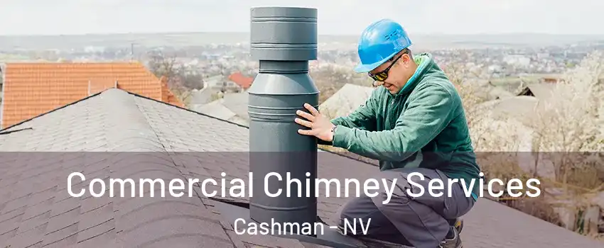 Commercial Chimney Services Cashman - NV
