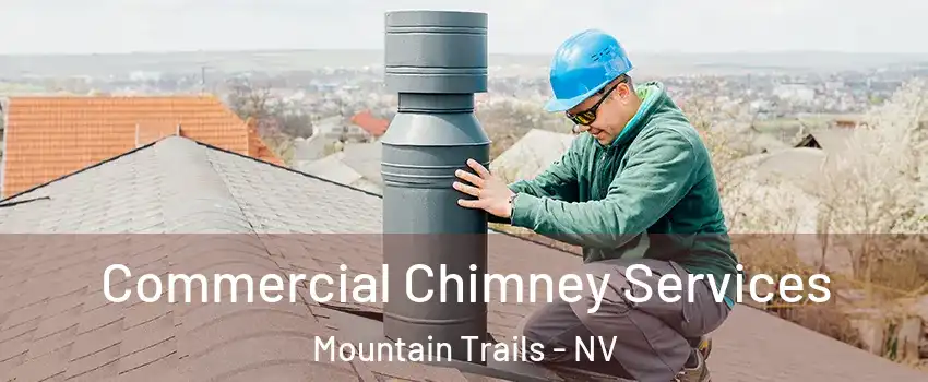 Commercial Chimney Services Mountain Trails - NV