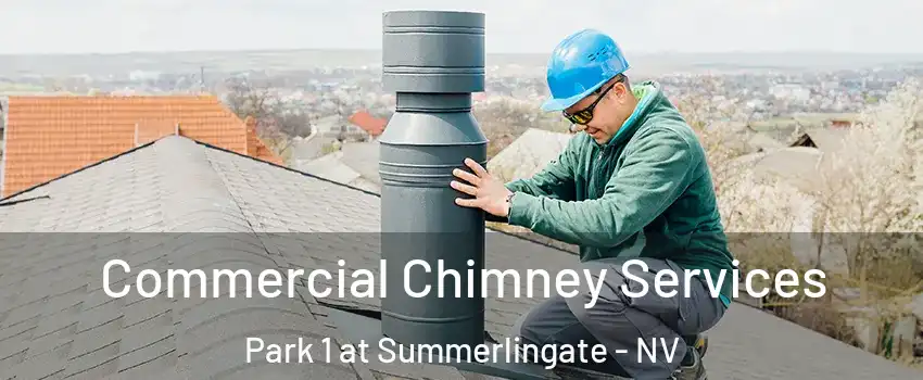 Commercial Chimney Services Park 1 at Summerlingate - NV