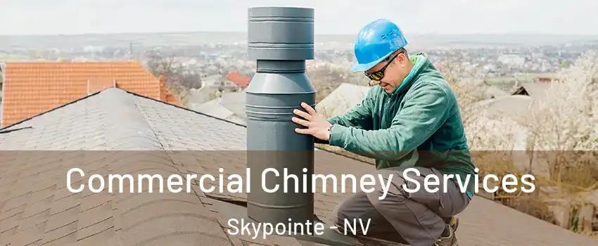 Commercial Chimney Services Skypointe - NV