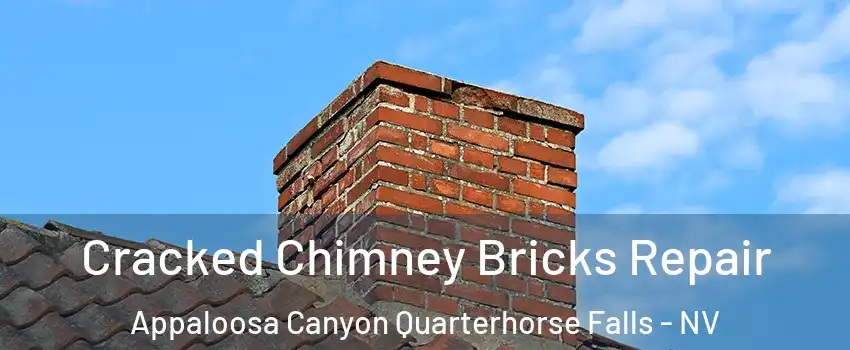 Cracked Chimney Bricks Repair Appaloosa Canyon Quarterhorse Falls - NV