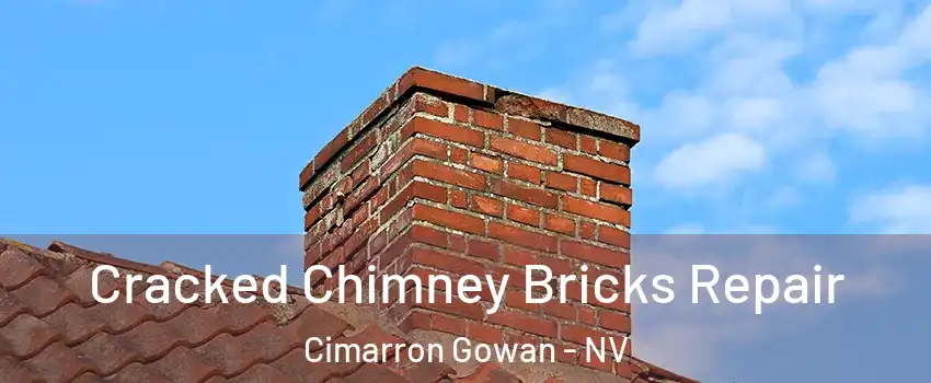 Cracked Chimney Bricks Repair Cimarron Gowan - NV